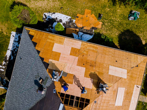 Best Storm Damage Roof Repair  in Westvale, NY