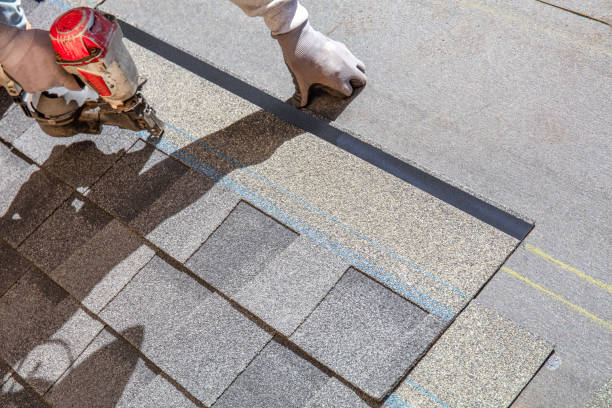 Best Roof Gutter Cleaning  in Westvale, NY